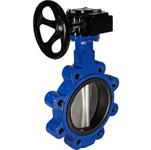 CAST IRON LUGGED EPDM GEAR TABLE E BUTTERFLY VALVE
